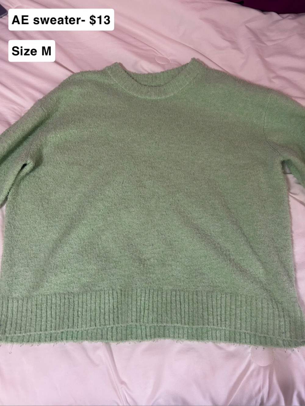 American Eagle Outfitters Crewneck Sweater in Light Mint Green